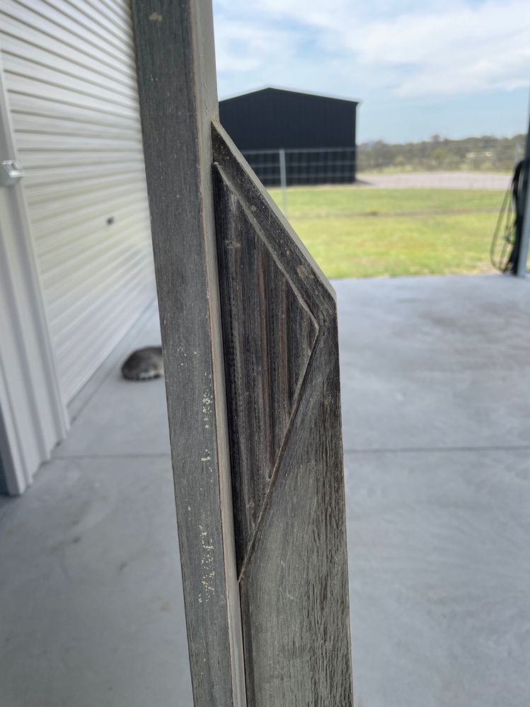 IMG_5117.jpeg IMG_5117.jpeg