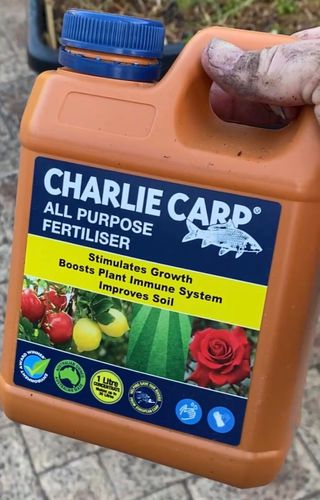 2A349BE7-FE4D-440A-97B2-5D2DB688DAF3.jpeg 2A349BE7-FE4D-440A-97B2-5D2DB688DAF3.jpeg