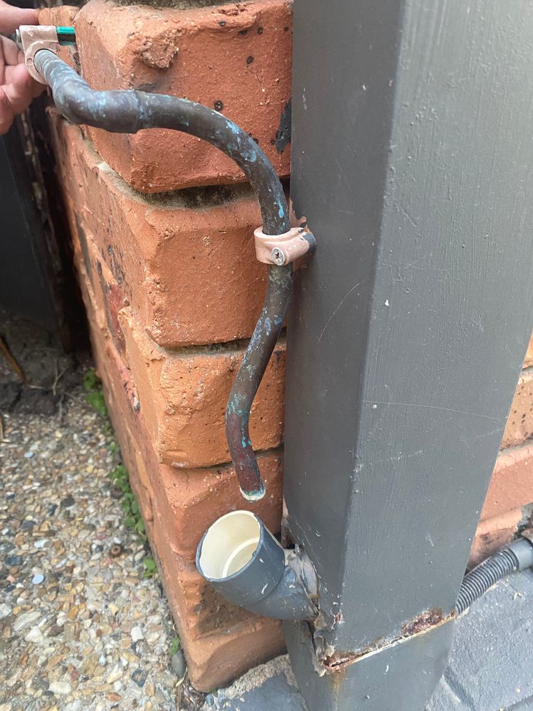 IMG_2490.jpeg IMG_2490.jpeg