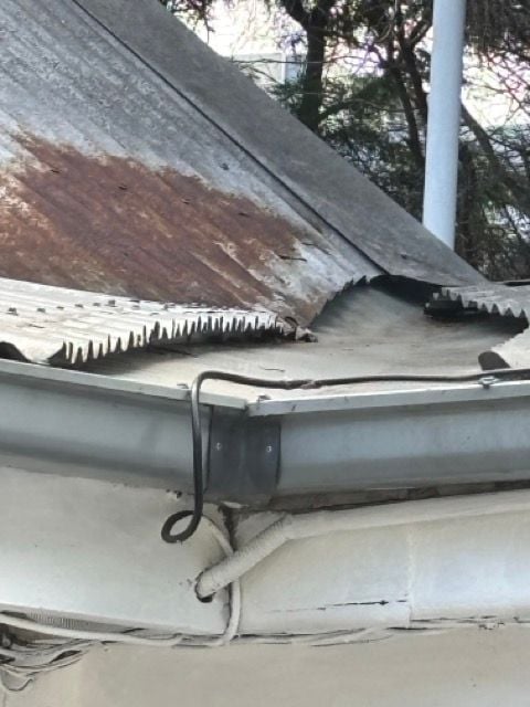 IMG_0961 Medium.jpeg IMG_0961 Medium.jpeg