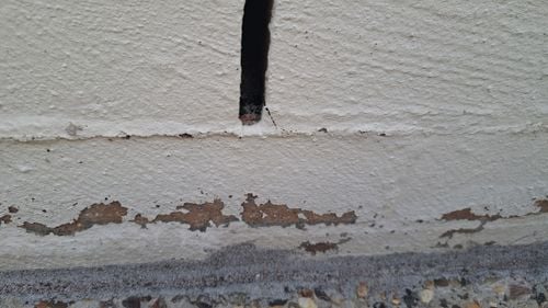 1000019966.jpg 1000019966.jpg