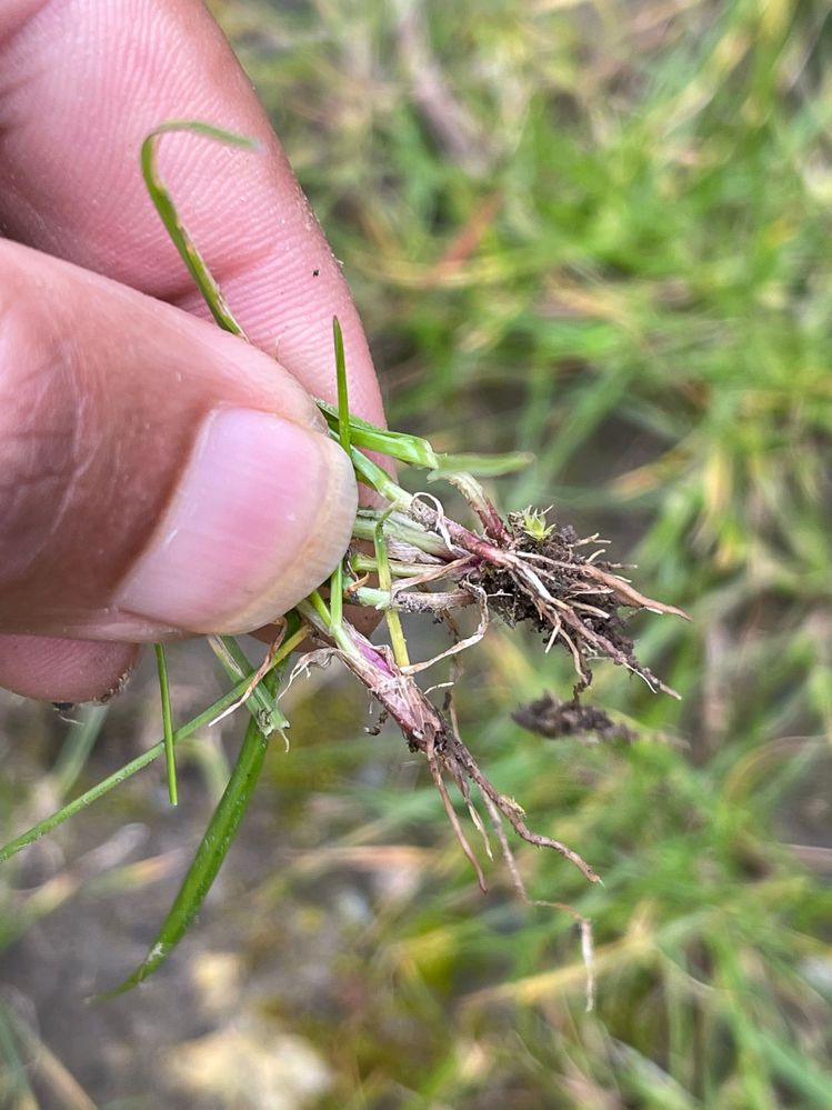 IMG_3373.jpg IMG_3373.jpg