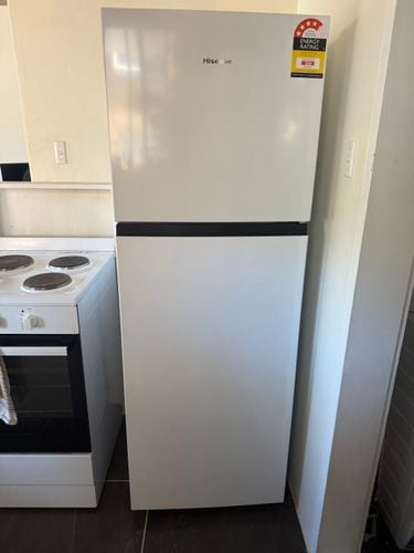 IMG_3586.jpeg IMG_3586.jpeg