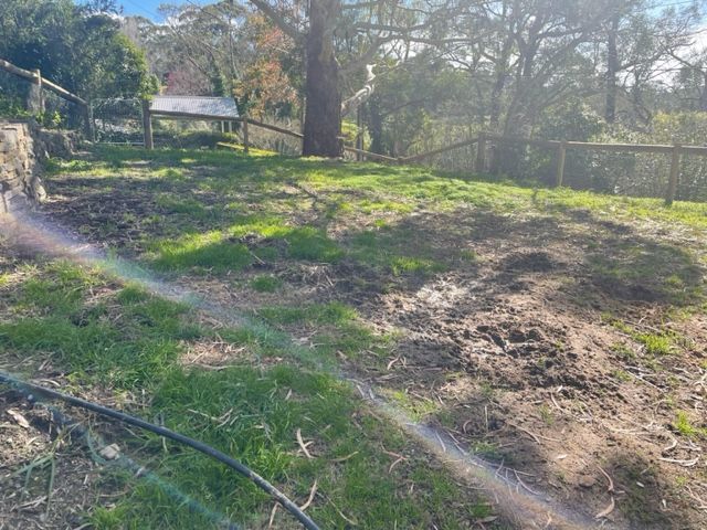 IMG_2949.jpg IMG_2949.jpg