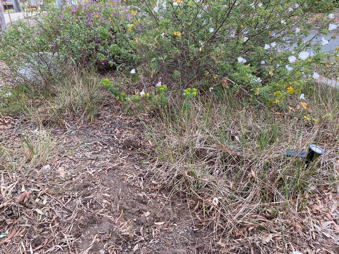 Flag pole 2.jpeg Flag pole 2.jpeg