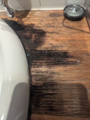 1000027060.jpg 1000027060.jpg