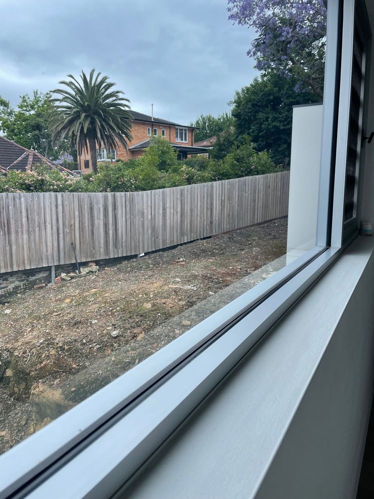 IMG_8977.jpg IMG_8977.jpg