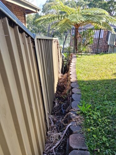 1000010772.jpg 1000010772.jpg