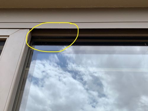 C344BEA5-45B7-4B0D-90CE-941BD1050BD6.jpeg C344BEA5-45B7-4B0D-90CE-941BD1050BD6.jpeg