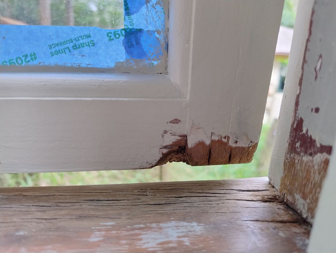 IMG_20250101_172011091_HDR.jpg IMG_20250101_172011091_HDR.jpg