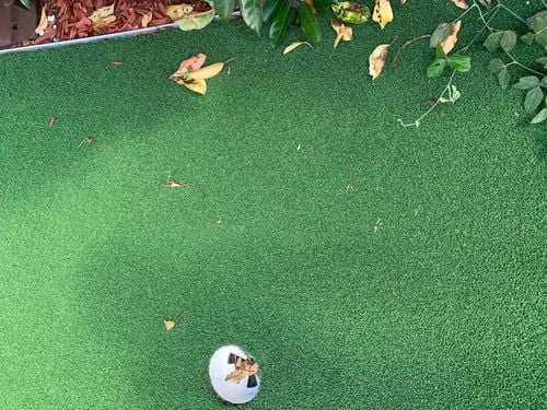 CA216CEF-1224-47E4-838F-338EE73DBA14.jpeg CA216CEF-1224-47E4-838F-338EE73DBA14.jpeg