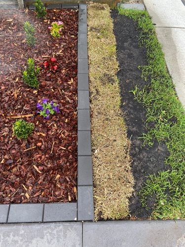 3FBB76A2-F607-421A-8660-64B7396A4E2A.jpeg 3FBB76A2-F607-421A-8660-64B7396A4E2A.jpeg