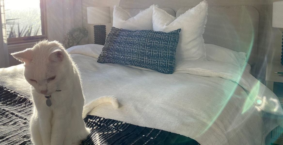 Duvet1.jpg Duvet1.jpg