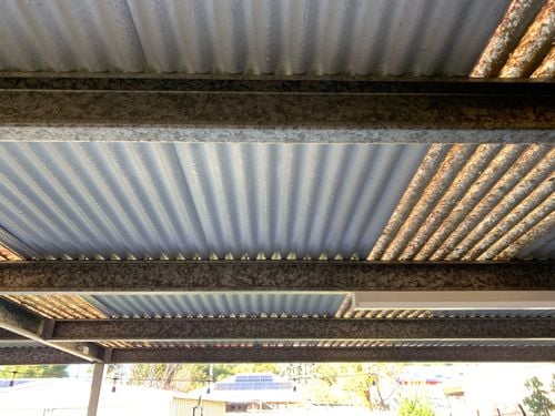 IMG_0395.jpeg IMG_0395.jpeg