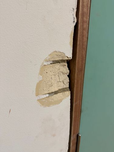 IMG_6522.jpeg IMG_6522.jpeg