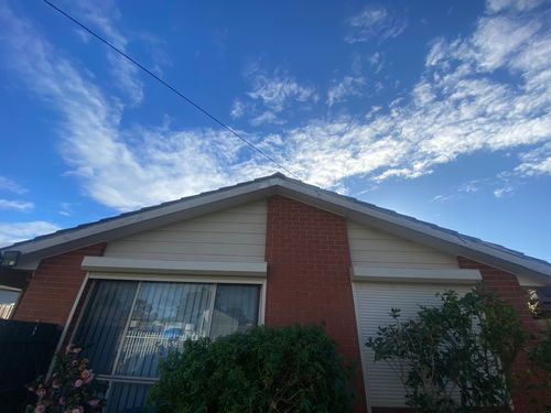 IMG_9399.jpeg IMG_9399.jpeg