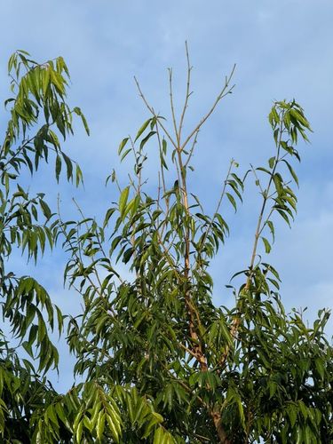 gt8_0-1751847067202.jpeg gt8_0-1751847067202.jpeg