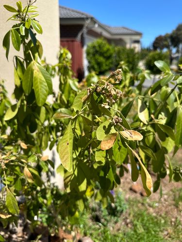 IMG_3710.jpeg IMG_3710.jpeg