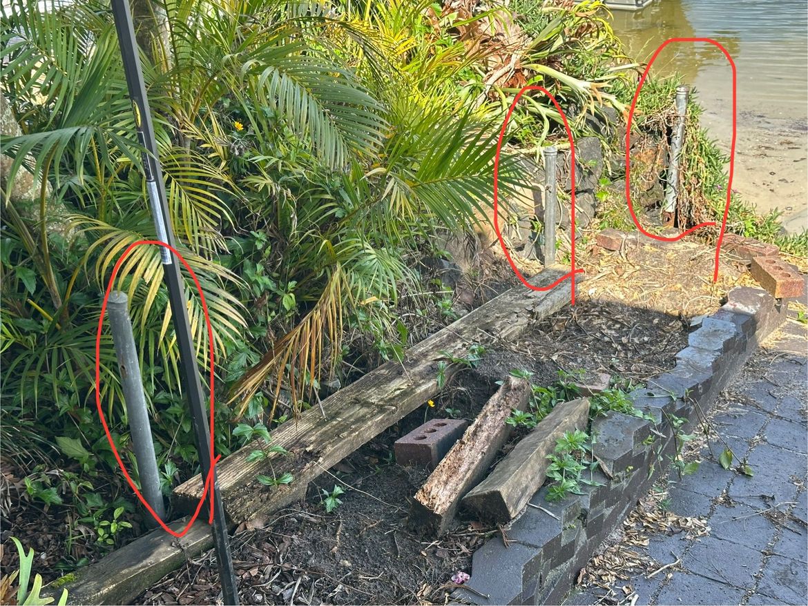 IMG_5798.jpg IMG_5798.jpg