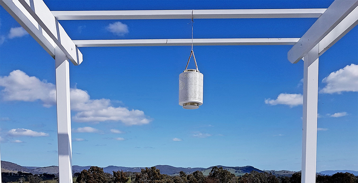 Caseyd.png Caseyd.png