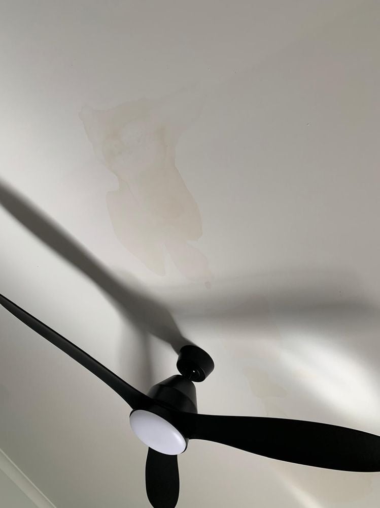 Image 1.jpeg Image 1.jpeg