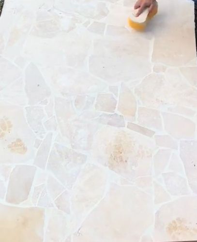 IMG_8992.jpeg IMG_8992.jpeg