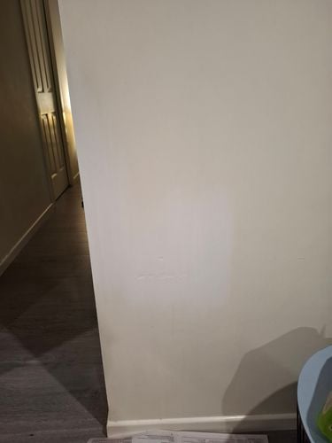 1000050388.jpg 1000050388.jpg