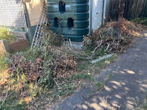 IMG_1955.jpeg IMG_1955.jpeg