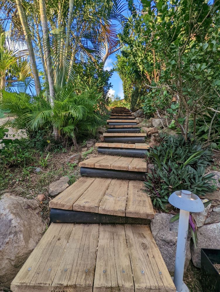 PXL_20220406_070545742.jpg PXL_20220406_070545742.jpg