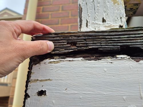 1000061964.jpg 1000061964.jpg