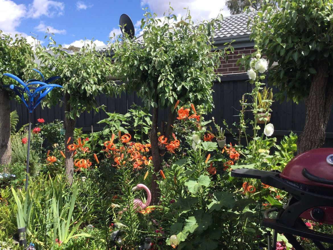 FEB3EE77-7A29-43F8-BEAE-4CE903B95E5B.jpeg FEB3EE77-7A29-43F8-BEAE-4CE903B95E5B.jpeg