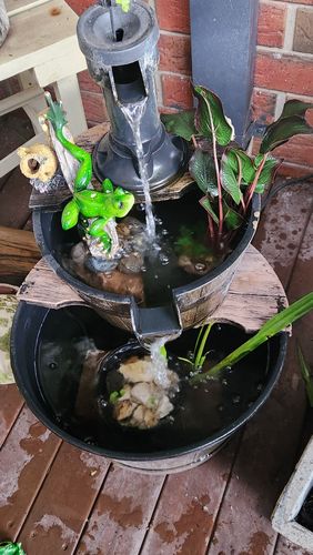 1000008980.jpg 1000008980.jpg