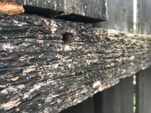 4C9407B2-E4DD-4DDF-B7D3-B4741C8C71F4.jpeg 4C9407B2-E4DD-4DDF-B7D3-B4741C8C71F4.jpeg