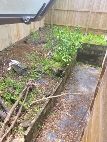 20211120_120904.jpg 20211120_120904.jpg