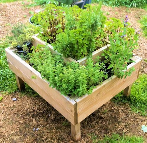 herb planter.jpg herb planter.jpg