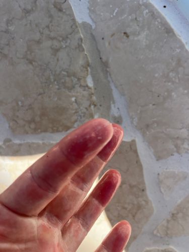 IMG_0408.jpeg IMG_0408.jpeg