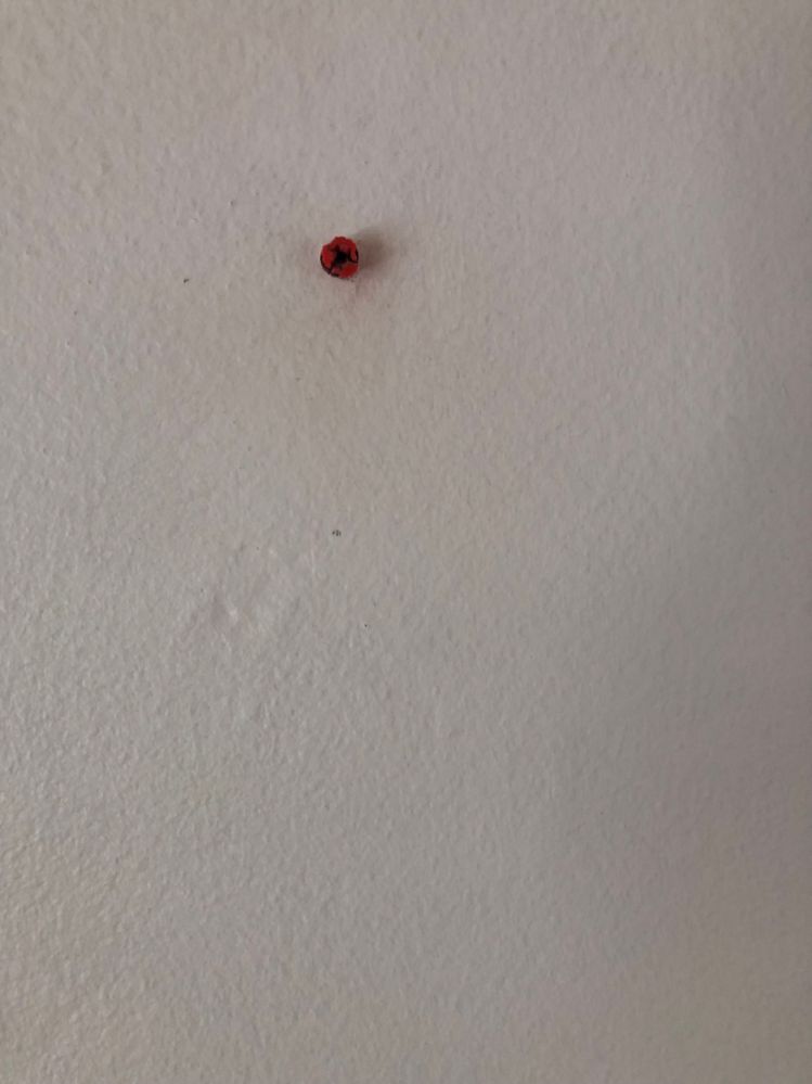 plug_6441.jpg plug_6441.jpg