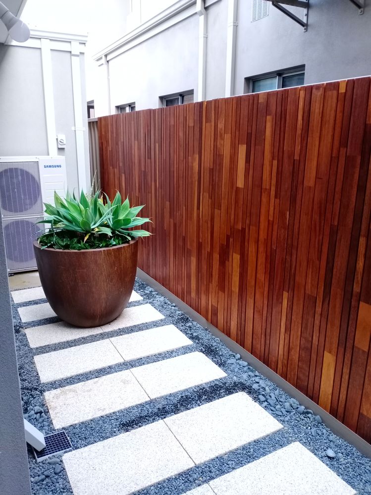 IMG_20200822_170144.jpg IMG_20200822_170144.jpg