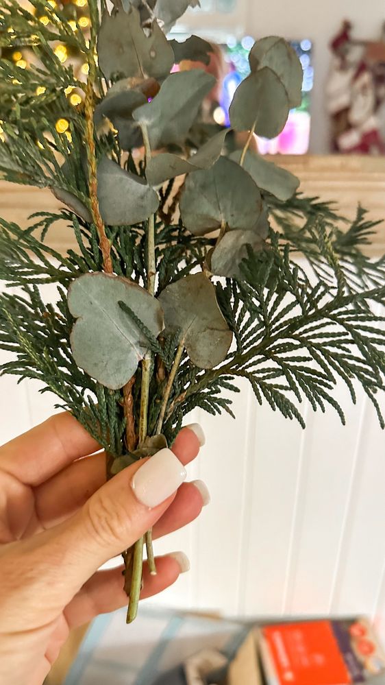 IMG_7836_jpg.JPG IMG_7836_jpg.JPG