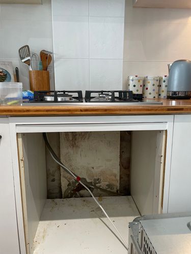 IMG_4105.jpeg IMG_4105.jpeg