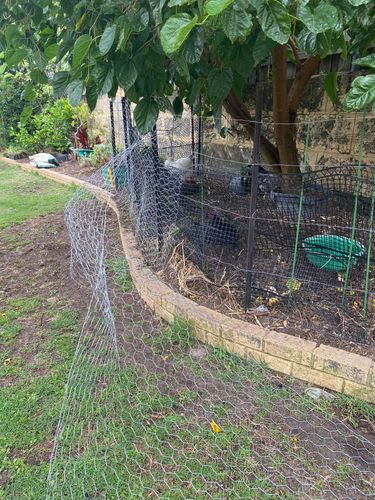 B11822CE-ABAC-48BA-8F9A-58AA1C5E481F.jpeg B11822CE-ABAC-48BA-8F9A-58AA1C5E481F.jpeg