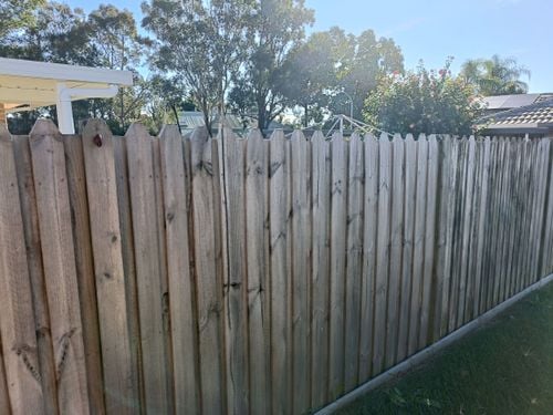 1000020683.jpg 1000020683.jpg