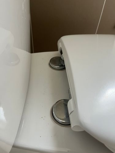 IMG_2707.jpeg IMG_2707.jpeg