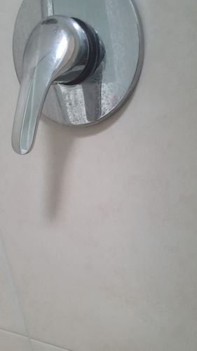 IMG-20210217-WA0011.jpeg IMG-20210217-WA0011.jpeg