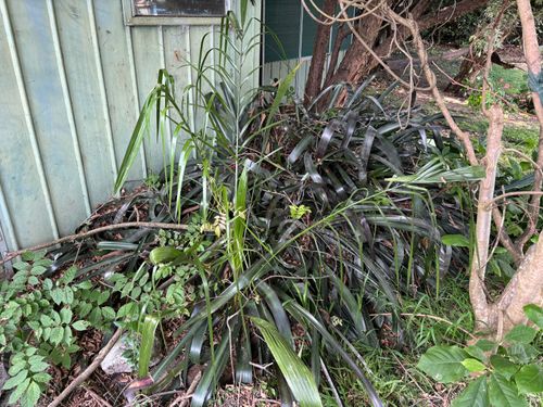 IMG_0531.jpeg IMG_0531.jpeg