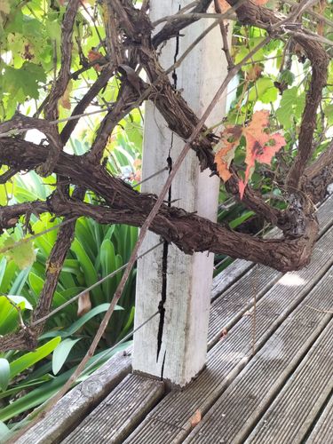 IMG20240312112304.jpg IMG20240312112304.jpg