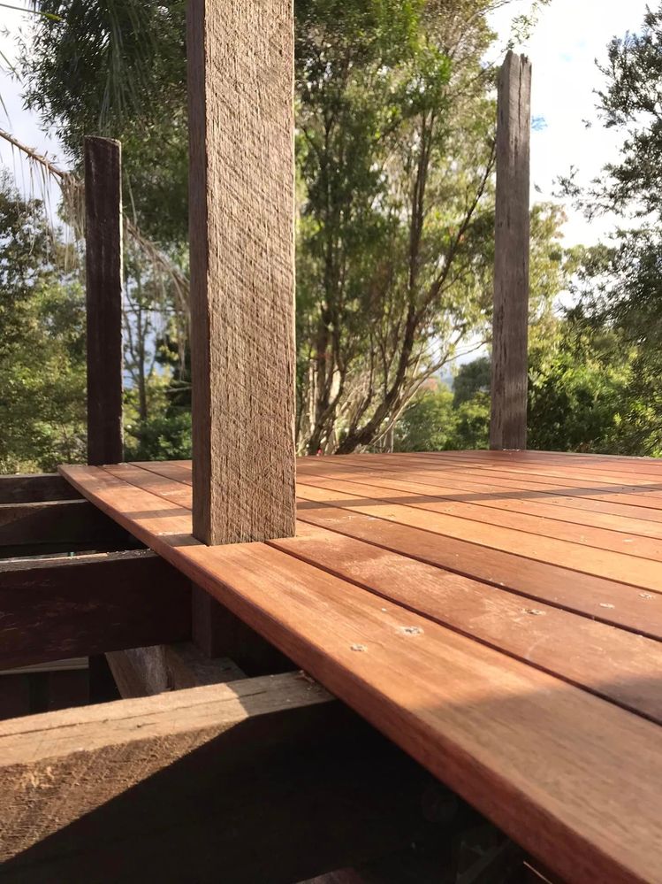 41 24-04-2023.jpg 41 24-04-2023.jpg