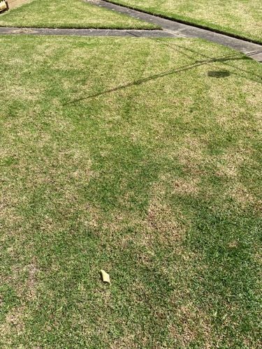 IMG_9273.jpeg IMG_9273.jpeg