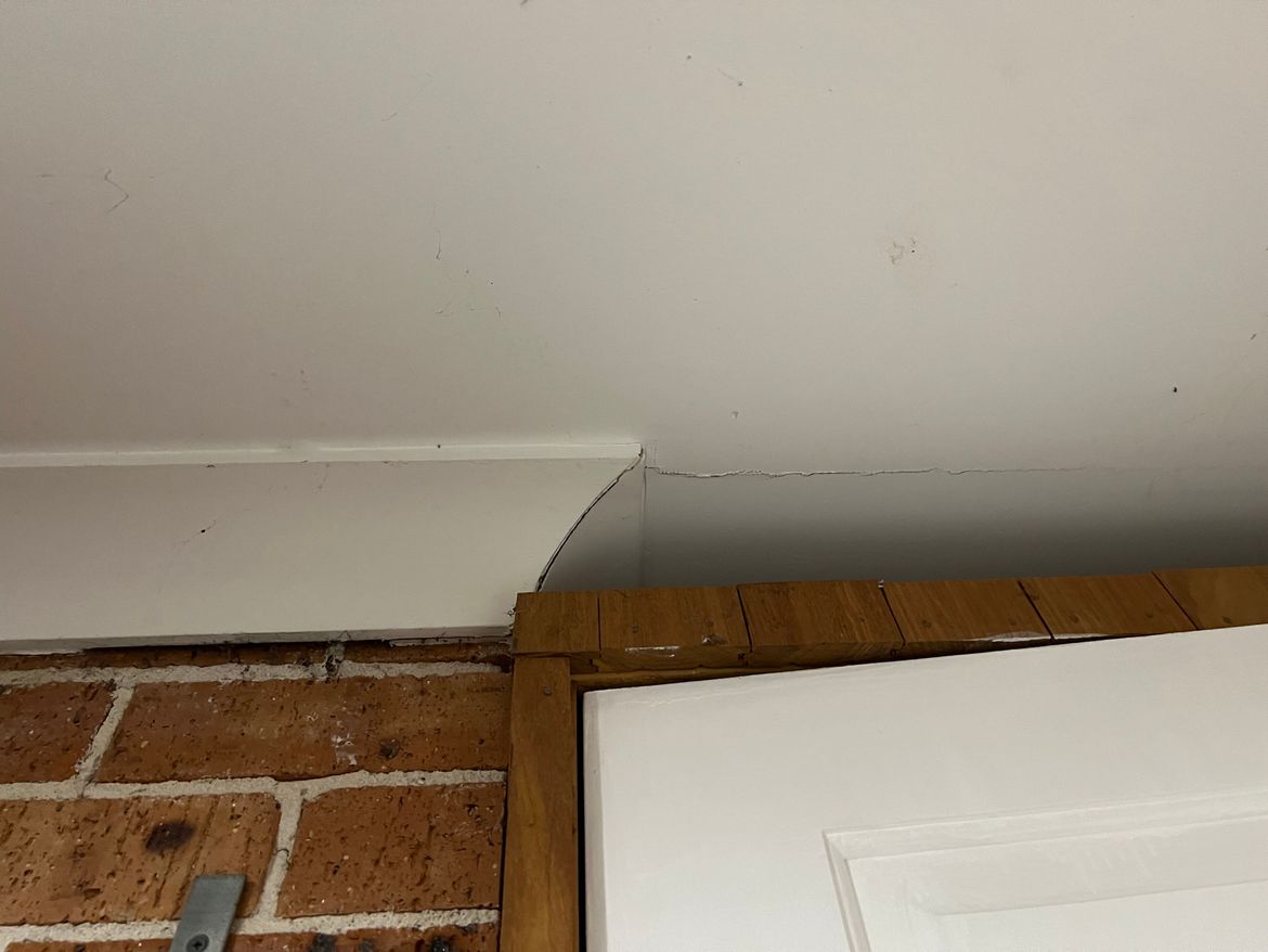 IMG_0458.jpeg IMG_0458.jpeg