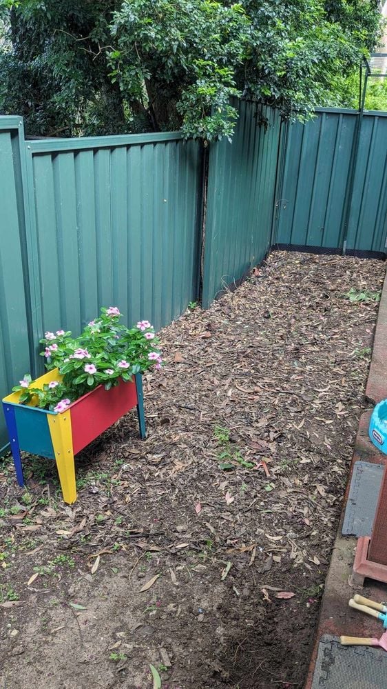 Garden 2.jpg Garden 2.jpg